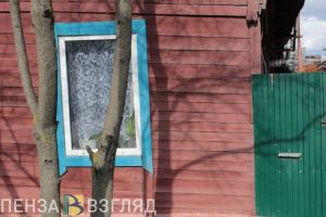 Шесть лет тюрьмы грозит жителю Пензенской области, обокравшему односельчанку