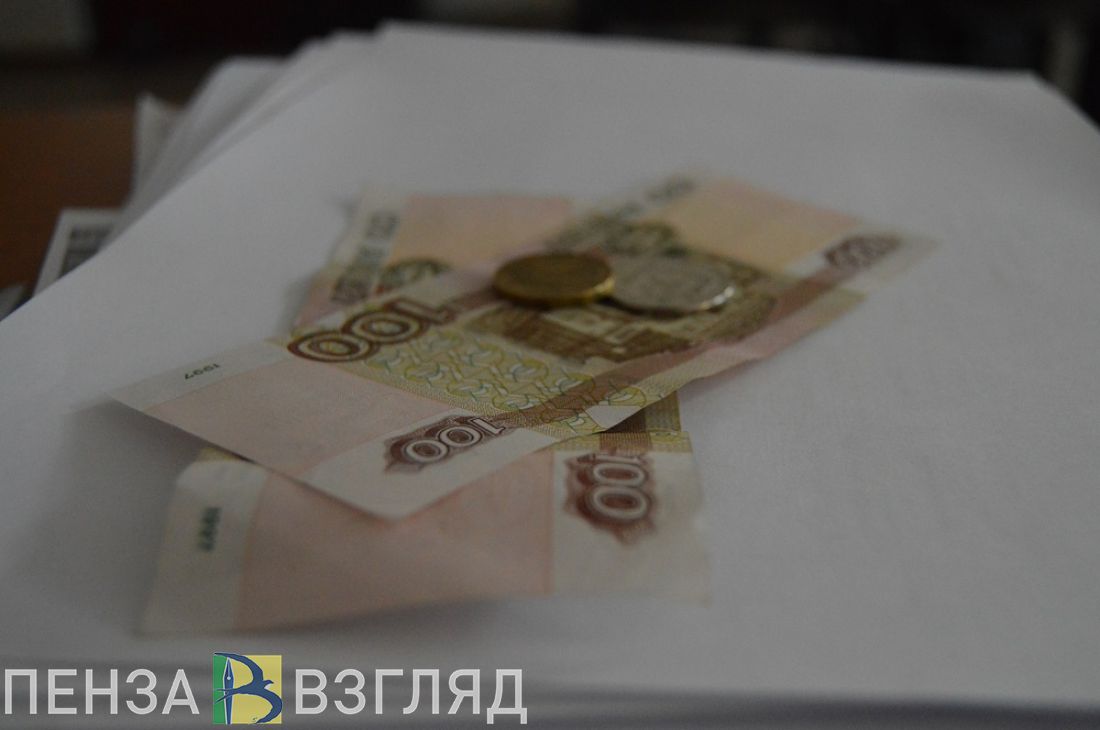 Две жительницы Шемышейского района задолжали по алиментам и попали под арест