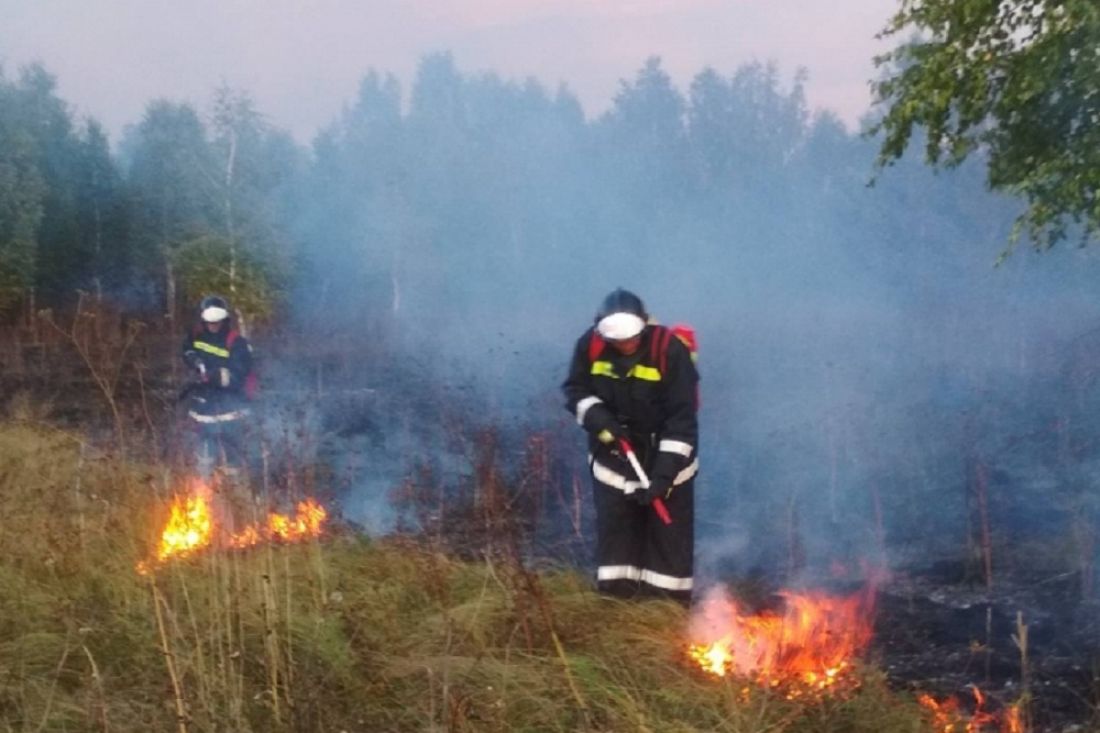 За день в Пензенской области сгорело 17 гектаров травы