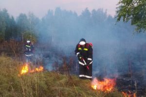 За день в Пензенской области сгорело 17 гектаров травы