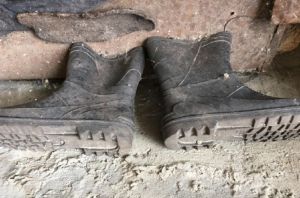 В Пензенской области найдены останки человека. Устанавливается его личность