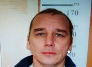 Пензенцы могут помочь в поисках пропавшего Владимира Медведева