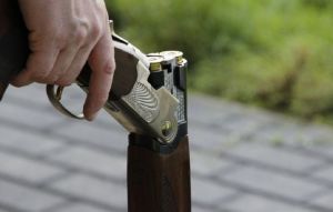 В трех районах Пензенской области нарушили правила охоты