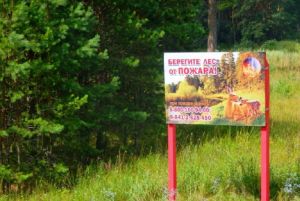 В Кузнецке в лесу произошел пожар