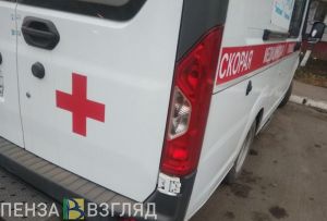 В Тамалинском районе перевернулся автомобиль: водитель скончался