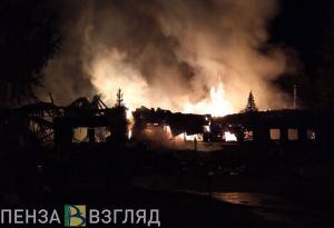 Начальник пензенского ГУ МЧС назвал предполагаемую причину пожара в «Засеке»