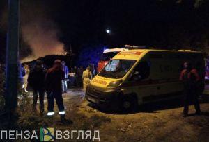 Глава пензенского ГУ МЧС раскритиковал поведение зевак при пожаре в «Засеке»