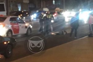 Установлены личности пешеходов, сбитых в пензенской Терновке