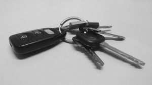 В Пензенской области владельцы оставили «пятерку» у дома, а нашли в овраге