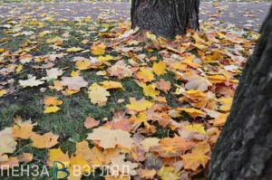Продление режима повышенной готовности, похолодание и пропавший мужчина - новости Пензы за 28 октября