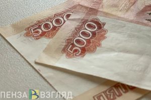 Пензенец заплатил более 300 тысяч рублей за несуществующий утеплитель
