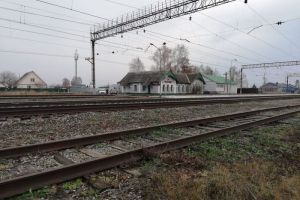 Появились фото с места убийства 17-летней девушки под Пензой