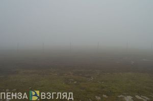 Сильный туман, убийство девушки и пропавший парень - новости Пензы за 3 ноября