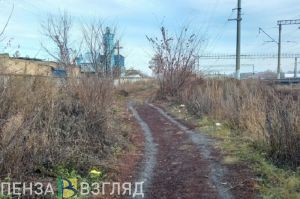 Подростковое преступление. Видео с места убийства 17-летней пензячки