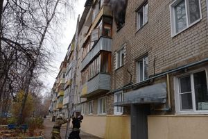 Из горящего дома на улице Мира в Пензе спасли 10 человек, в том числе 3 детей