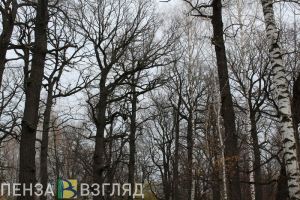 В Каменском районе школьники сдали туристский поход