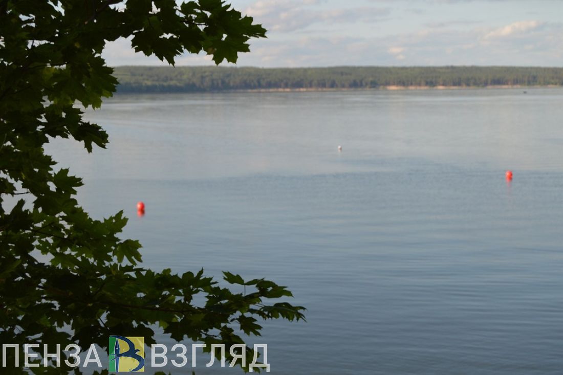 Названы причины, почему в этом году в Пензе утонуло больше людей