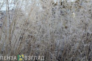 Зима начнется осенью: пензенские синоптики предупредили о 15-градусном морозе