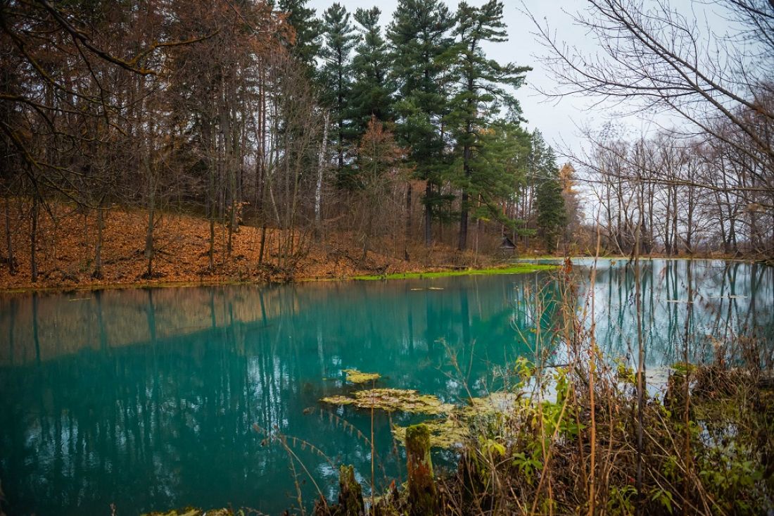 Красивое озеро в Пензенской области