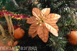 В Пензе начнут работать елочные базары