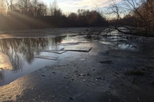 По факту гибели ребенка на реке в Пензе возбудили уголовное дело