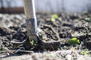 Прикопала труп на даче. Стали известны подробности убийства в Пензе