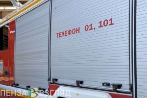 В Пензенском районе при ночном пожаре спасли мужчину