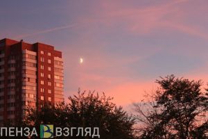 Больше всего заболевших COVID-19 выявлено в Пензе и Пензенском районе