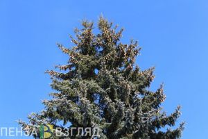 Жителей Пензенской области предупреждают о сильном морозе