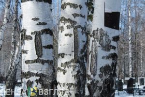 Аномальная погода, приемка дома для переселенцев и дополнительные поезда: новости Пензенской области за 2 декабря