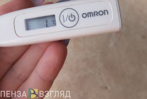Антирекорд по заболевшим Covid-19, морозная погода и пожар - новости Пензы за 6 декабря
