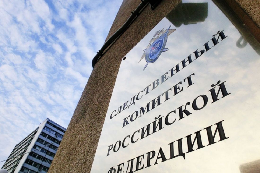 Мать и сестра убитой в Пензенской области женщины обратились к главе СК
