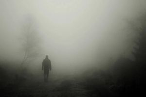 «Бессмертный» пешеход, ковидный антирекорд и женоубийство: новости за 11 декабря