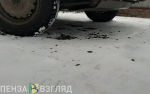 На те же грабли: лишенный прав пензенец снова сел пьяным за руль