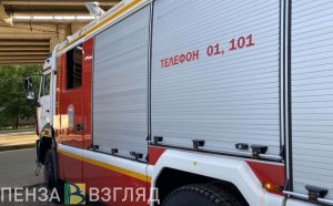 Во время пожара в Пензенской области спасли четырех маленьких детей
