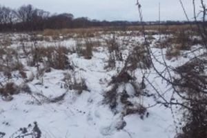 В Каменском районе нашли тело без вести пропавшего мужчины