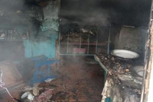 В срубовом доме в Пензенской области произошел пожар