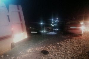 Больше десяти раз за неделю спасатели выезжали на помощь пензенцам