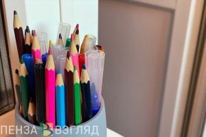 В пяти районах Пензенской области из-за мороза школьники учились дистанционно