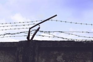 Пензенский областной суд утвердил приговор расхитителям дизельного топлива