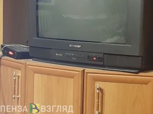 Пензячка поправила финансовое положение, похитив телевизор знакомого
