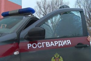 В Пензе росгвардейцы поймали 20-летнего таксиста, укравшего телефон
