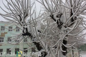 Ветреная погода, пропавший мужчина и возвращение вузов к очному обучению - новости Пензы за 29 января