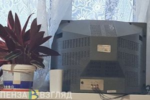Житель Пензенской области оставил земляка без телевизора и приставки