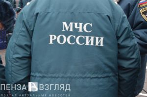 Ночью в Пензе восемь человек тушили пожар в Терновке