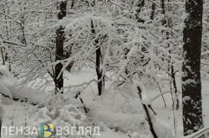 В Сердобске на снегу нашли замерзающего мужчину