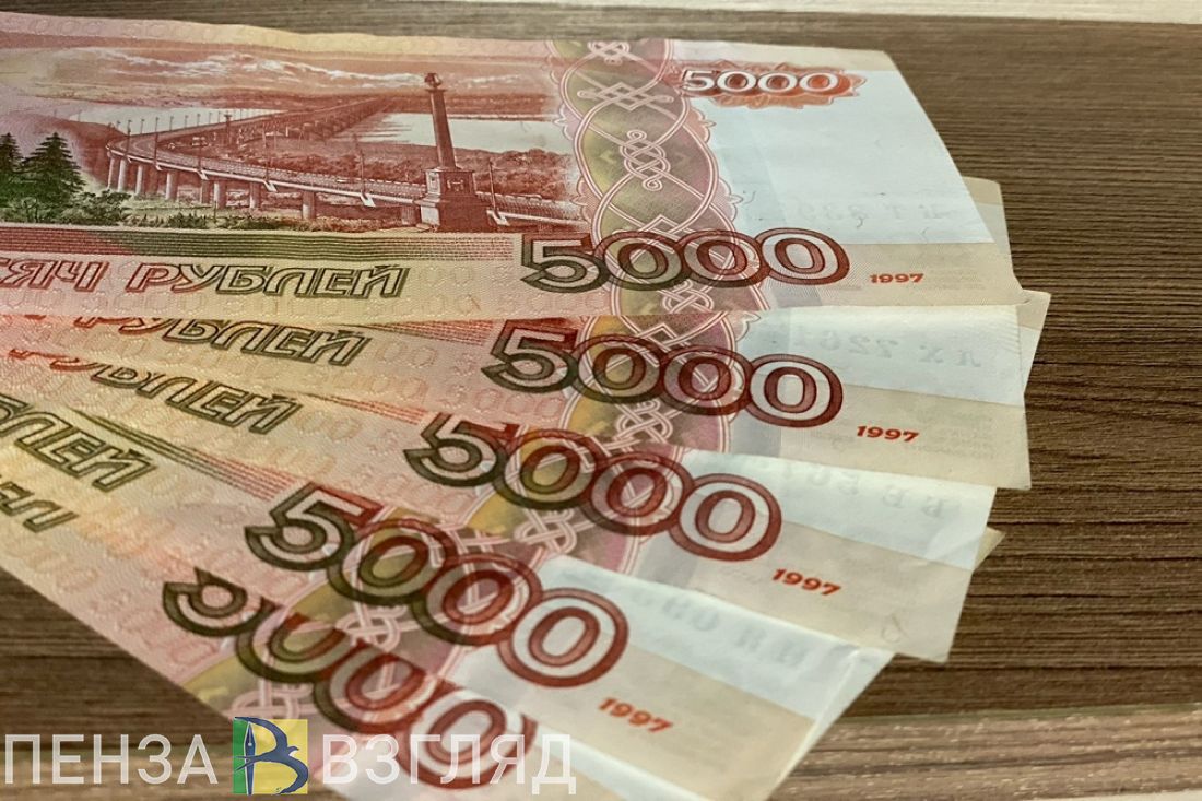 Пензенская компания задолжала государству более 23 миллионов рублей