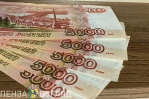 Пензенская компания задолжала государству более 23 миллионов рублей
