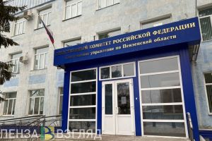 В СК рассказали обстоятельства обнаружения тела в Нижнеломовском районе
