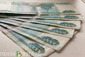 Житель Каменки, испугавшись обязательств по чужому кредиту, лишился 60 тысяч рублей